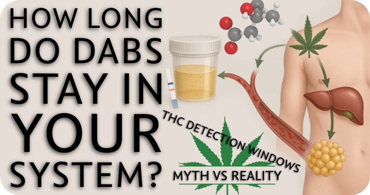 How Long Do Dabs Stay In Your System? THC Drug Test Myths