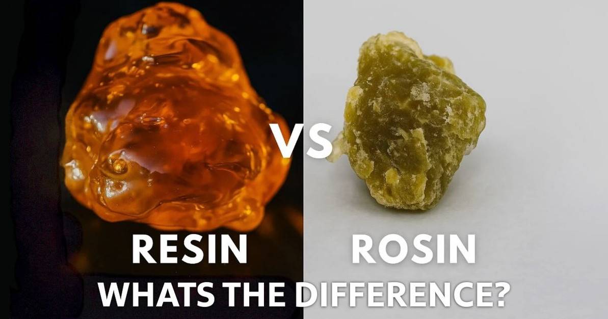 Rosin Vs Resin: Whats The Difference? | Live Resin
