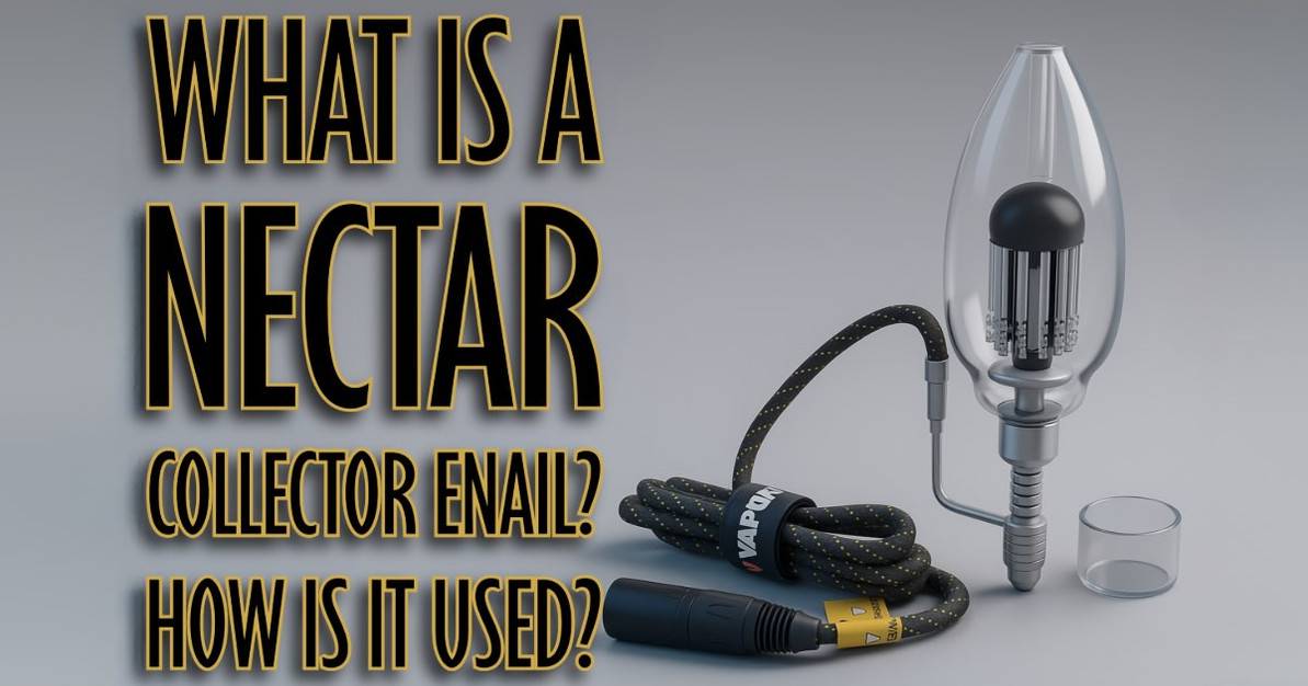 What is a Nectar Collector Enail? How is it Used?