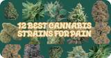 12 Best Cannabis Strains for Pain