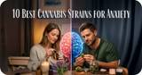 10 Best Cannabis Strains for Anxiety | THC and Anxiety