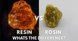 Rosin Vs Resin: Whats The Difference? | Live Resin