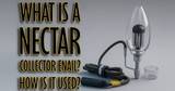 What is a Nectar Collector Enail? How is it Used?